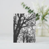 ヨーロッパ、フランス、パリ。マルコ冬の木 ポストカード (スタンド正面)