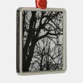 ヨーロッパ、フランス、パリ。マルコ·ウィンターツリーズ メタルオーナメント (右)