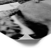 ヨーロッパ、フランス、パリ。像と観覧車， 2 ポスター (角)