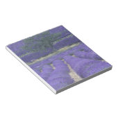 ヨーロッパ、フランス、プロヴァンス、ソー、ラベンダーフィールド2 ノートパッド (アングル)