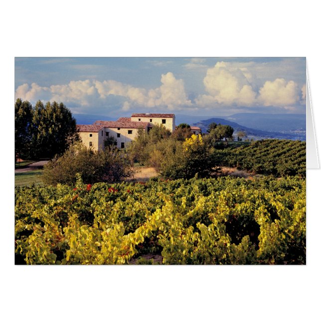 ヨーロッパ、フランス、Bonnieux。 ブドウ園は覆います (正面横)