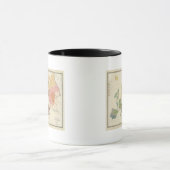 ヨーロッパ，民族誌 マグカップ (中央)