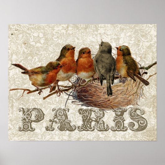 ヨーロビンバーズネストパリデコペヴィンテージ ポスター (正面)