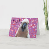 ヨ! カード (正面)