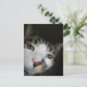 ヨ！ ポストカード (スタンド正面)