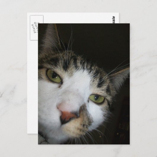 ヨ! ポストカード (正面/裏面)