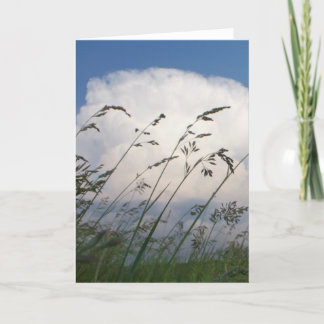 "ライおよび空"の写真カード カード