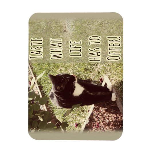 ライやる気を起こさせるフキャット引用文アートおもしろい マグネット (縦)