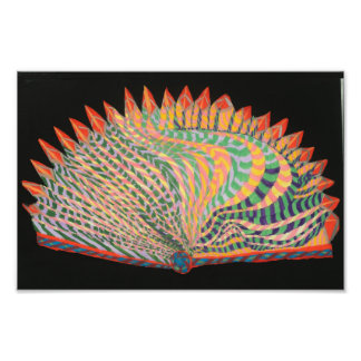 ライアンズファンIIプリント フォトプリント           