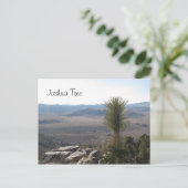 ライアン山からの眺め – ジョシュア・ツリー ポストカード (スタンド正面)