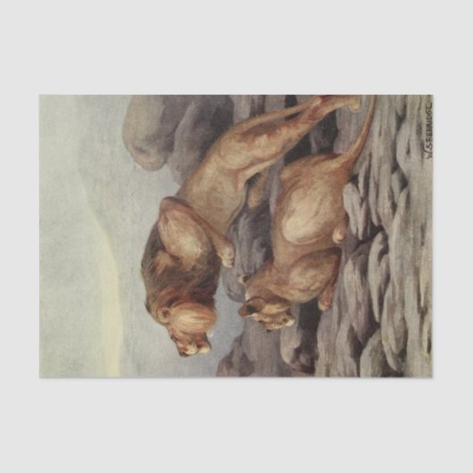 ライオクールン愛好家はクラフト愛好家を切り離す 薄葉紙 (正面)