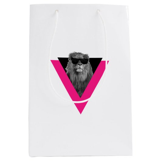 ライオクールン抱き枕 ミディアムペーパーバッグ (正面)