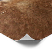 ライオネスと彼女の子供 ポスター (角)