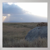 ライオネスの夕日 ポスター (正面)