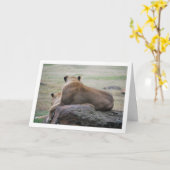 ライオネスの肖像 カード (黄色い花)