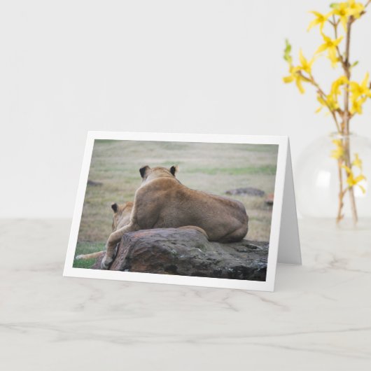 ライオネスの肖像 カード (黄色い花)