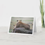 ライオネスの肖像 カード (正面)