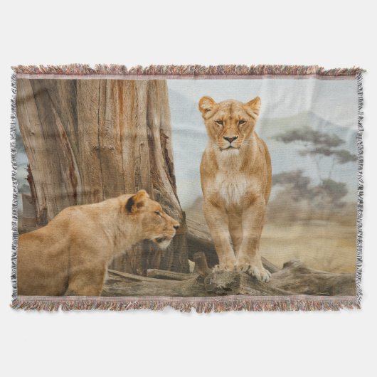 ライオネスルールブランケット スローブランケット (正面)