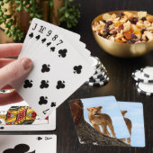 ライオネス トランプ (インサイチュ)