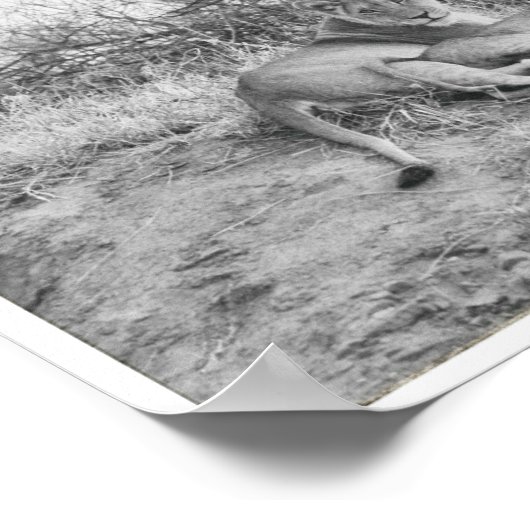 ライオネス ポスター (角)