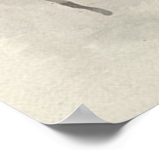 ライオネス ポスター (角)