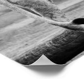 ライオネス・ワイルドライフブラック&ホワイト写真アート ポスター (角)