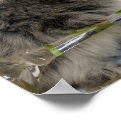 ライオヘッドバニーとワイングラス ポスター (角)