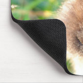 ライオヘッドバニー マウスパッド (コーナー)