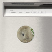 ライオヘッドバニー マグネット (インサイチュ (食洗機))