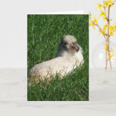 ライオヘッド・バニー・イン・ザ・グラス カード (黄色い花)