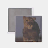 ライオランニングン マグネット (正面/裏面)