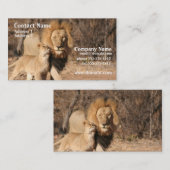 ライオンおよびカブスの名刺 名刺 (正面/裏面)
