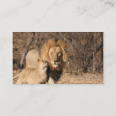 ライオンおよびカブスの名刺 名刺 (裏面)