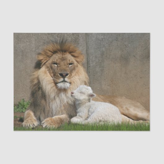 ライオンおよび子ヒツジのクリスマス 薄葉紙 (正面)