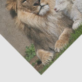 ライオンおよび子ヒツジのクリスマス 薄葉紙 (詳細)