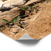 ライオンが地面に倒れている ポスター (角)