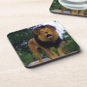 ライオンが岩に コースター (左側)