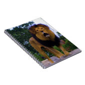 ライオンが岩に ノートブック (右側)