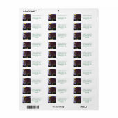 ライオンとカブス ラベル (フルシート)