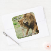 ライオンとライオンのステッカー スクエアシール (封筒)