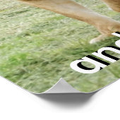 ライオンとライオンのポスター ポスター (角)