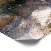 ライオンとライオンの歩くが岩の上に ポスター (角)