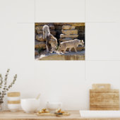 ライオンとライオンの歩くが岩の上に ポスター (キッチン)