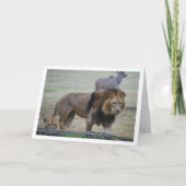 ライオンとライオンズメス カード (正面)