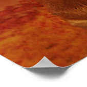 ライオンとライオン24インチx 24インチ、バリューポスター紙 ポスター (角)