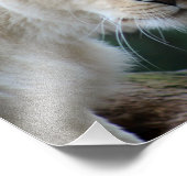 ライオンとライオン フォトプリント            (角)