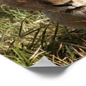 ライオンとライオン ポスター (角)