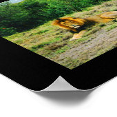 ライオンとライオン ポスター (角)