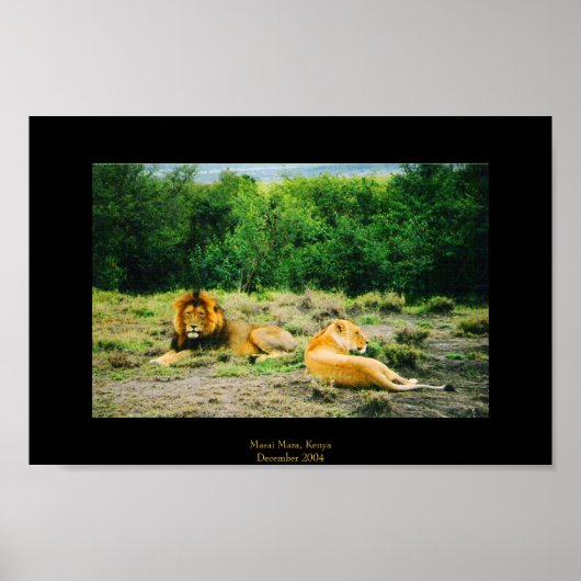 ライオンとライオン ポスター (正面)