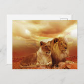 ライオンとライオン ポストカード (正面/裏面)